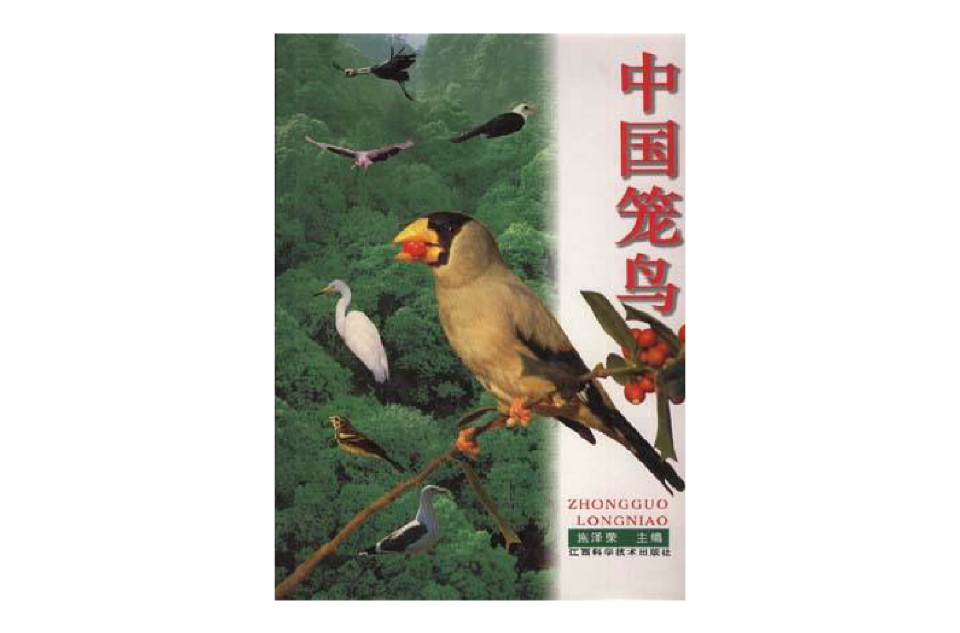 中國籠鳥