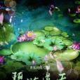 碧游道天 碧游道天
