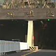 洲頭咀隧道 洲頭咀隧道