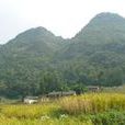 鍋廠村(雲南省昭通市昭陽區大寨子鄉鍋廠村) 鍋廠村(雲南省昭通市昭陽區大寨子鄉鍋廠村)