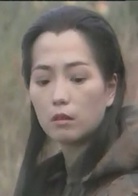 中華英雄(1990年何家勁主演電視劇)