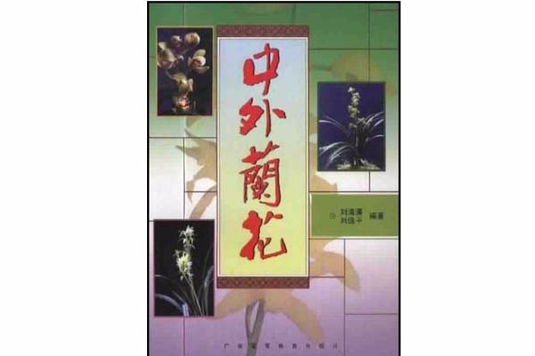 中外蘭花 中外蘭花