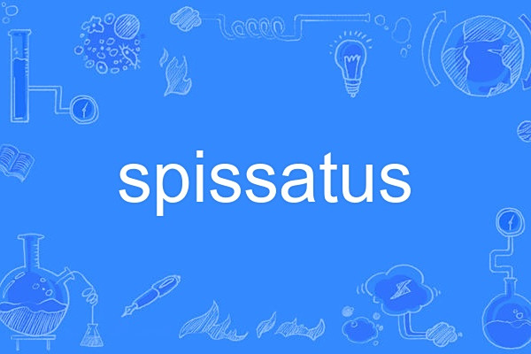 spissatus spissatus