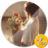 If_you_present If_you_present
