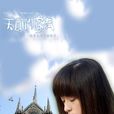 天國的嫁衣(2004年沈怡執導電視劇)