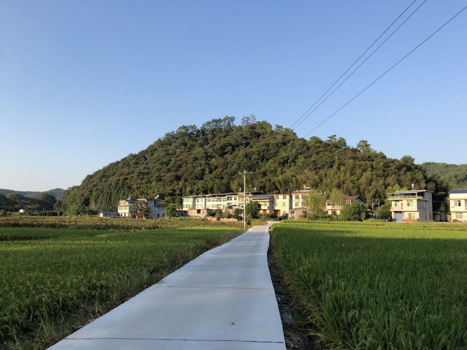 旗山自然村 旗山自然村