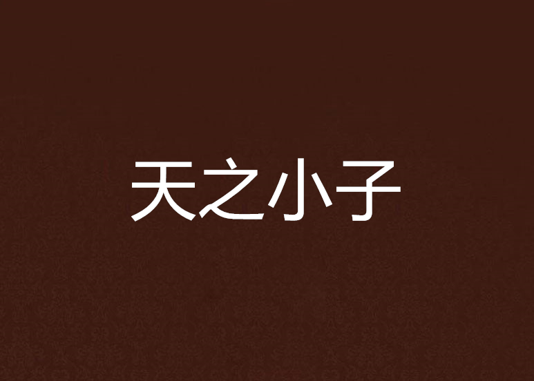 天之小子 天之小子