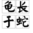龜長於蛇 龜長於蛇