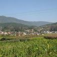 獨路溝村 獨路溝村
