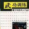 武功訓練 武功訓練