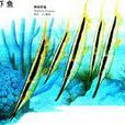 蝦魚 蝦魚