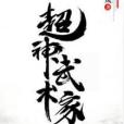超神武術家 超神武術家