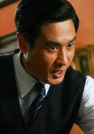 上海王(2009年鐘漢良、袁立主演電視劇)
