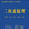 二次流原理 二次流原理