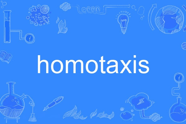homotaxis homotaxis