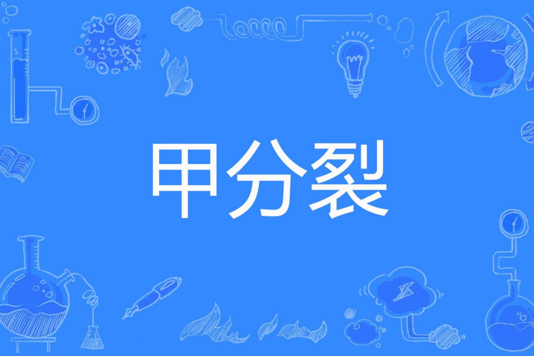 甲分裂 甲分裂