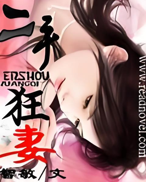 二手狂妻