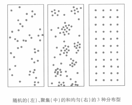 隨機（左）、聚集（中）、均勻（右）3種分布型