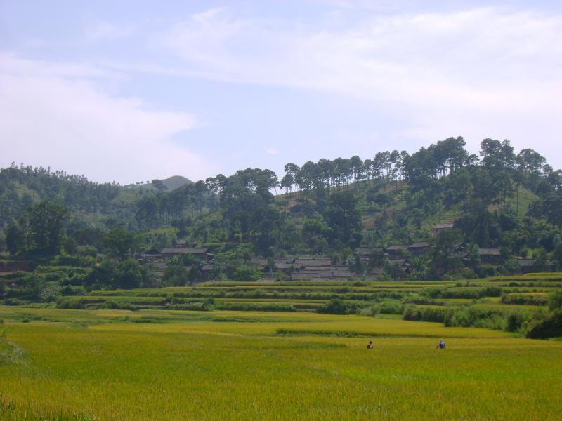 那擺村 那擺村