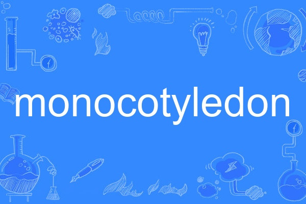 monocotyledon monocotyledon