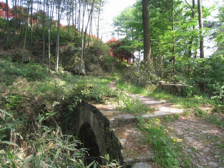 西坑古道 西坑古道
