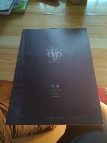 凝眸(2007年四川美術出版社出版的圖書) 凝眸(2007年四川美術出版社出版的圖書)
