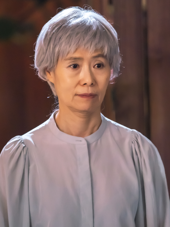 雙面超女(一個女人（韓國崔英勛執導的電視劇）)