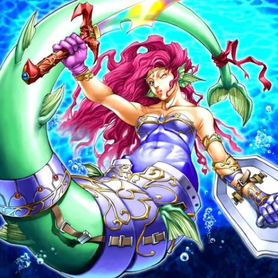 人魚騎士 人魚騎士