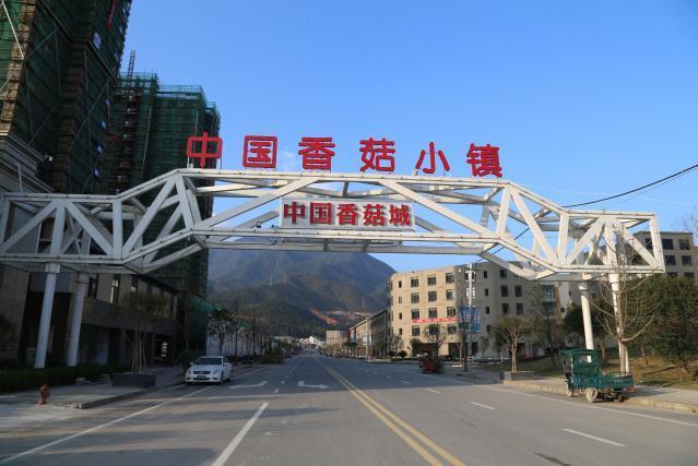 香菇小鎮(中國浙江省麗水市慶元縣境內特色小鎮) 香菇小鎮(中國浙江省麗水市慶元縣境內特色小鎮)