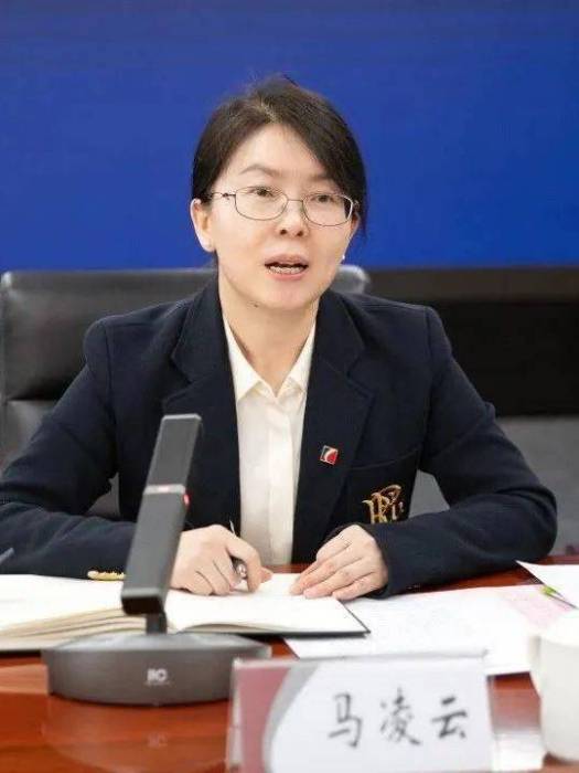 馬凌雲(山西省國有資本運營有限公司黨委副書記、副董事長、總經理) 馬凌雲(山西省國有資本運營有限公司黨委副書記、副董事長、總經理)