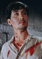 青春之歌(1959年崔嵬導演、謝芳主演的影片)