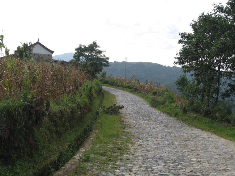 腰街村(雲南省元江縣羊岔街鄉阿龍甫村委會腰街村) 腰街村(雲南省元江縣羊岔街鄉阿龍甫村委會腰街村)
