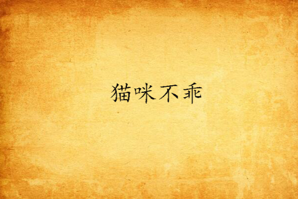 貓咪不乖 貓咪不乖