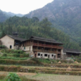中良村(廣西河池區大化縣下轄村) 中良村(廣西河池區大化縣下轄村)
