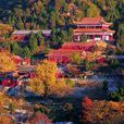 遵化禪林寺 遵化禪林寺