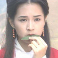 衛靈兒(《碧血青天楊家將》虛構角色)