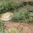 馬龍村(雲南會澤縣新街回族鄉下轄村) 馬龍村(雲南會澤縣新街回族鄉下轄村)