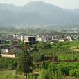赤嶺村(安凌鎮下轄村)