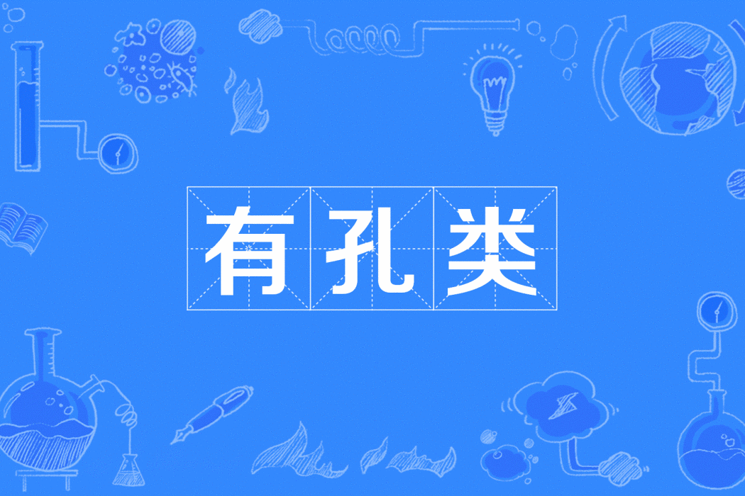 有孔類 有孔類