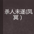 殺人未遂 殺人未遂