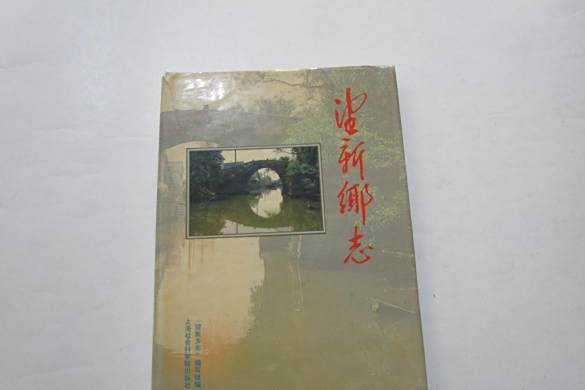 望新鄉志 望新鄉志