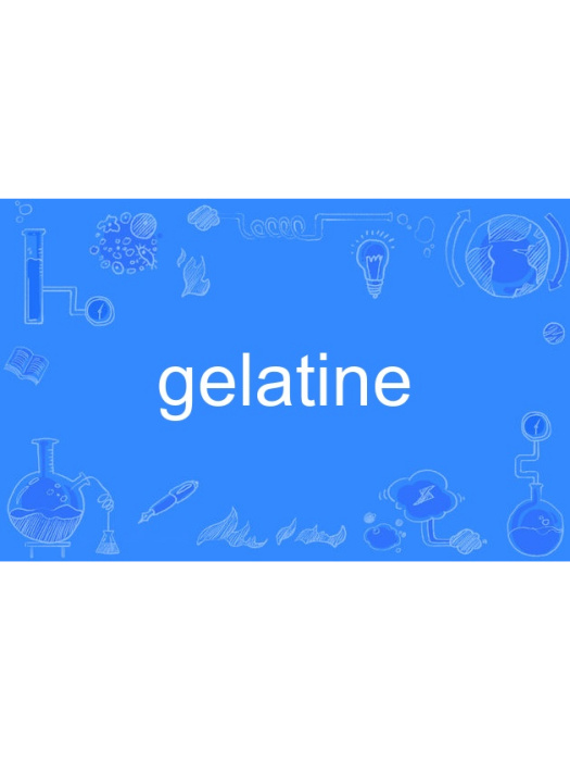 gelatine gelatine