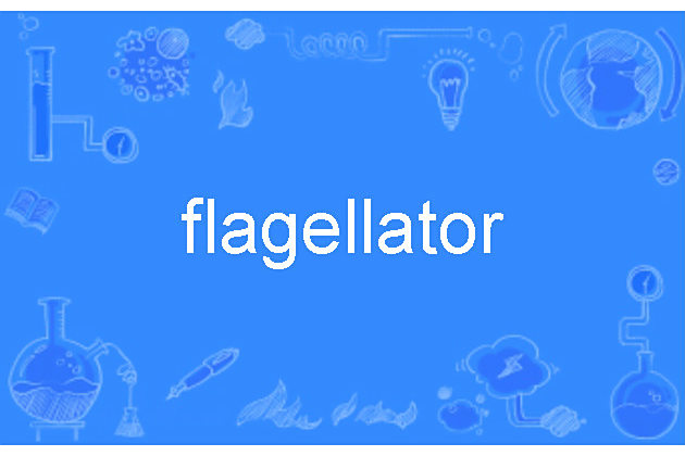 flagellator flagellator