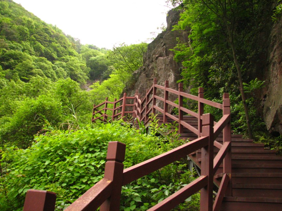武漢九峰山森林公園
