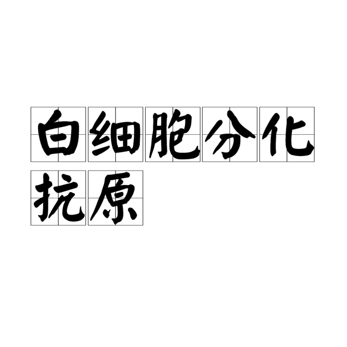 白細胞分化抗原(分化群) 白細胞分化抗原(分化群)