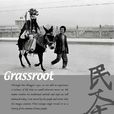 民本(Grassroots) 民本(Grassroots)