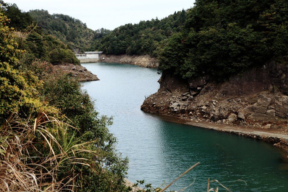 程家洋村 程家洋村