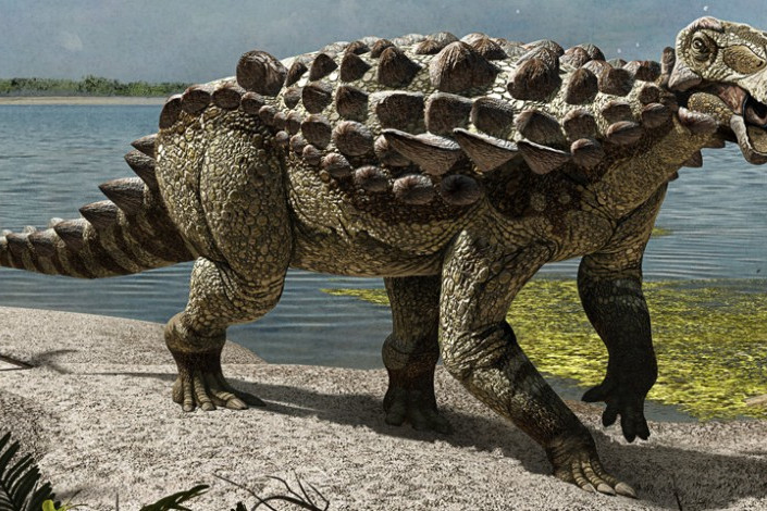 Europelta carbonensis Europelta carbonensis