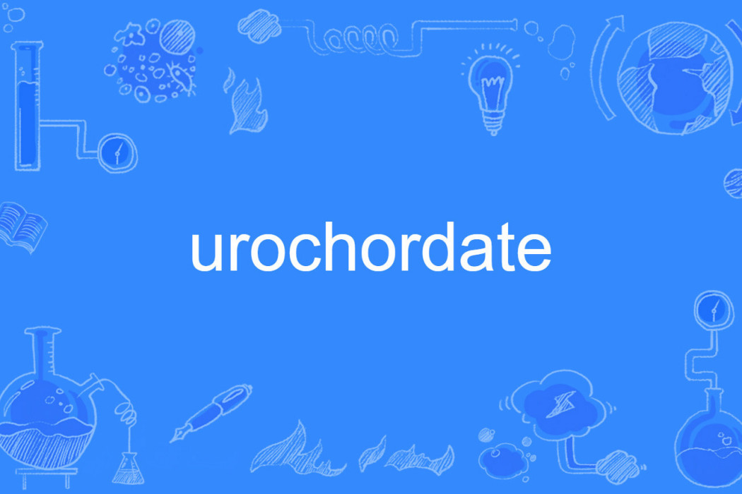 urochordate urochordate