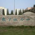 教學合一 教學合一
